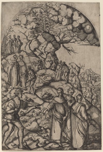 San Filippo Benizzi Guarisce un Mendicante da after Andrea del Sarto