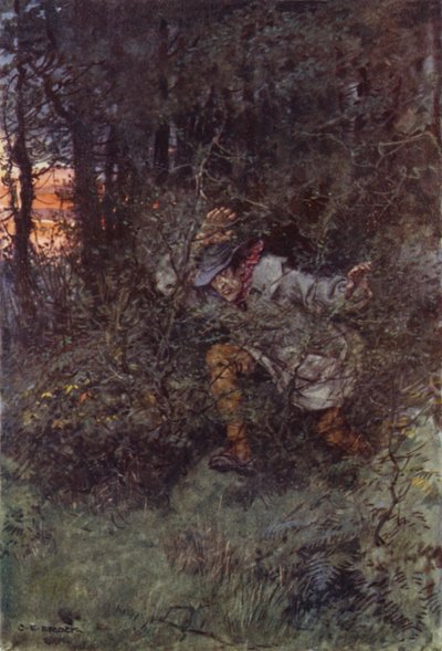 Illustrazione per Martin Chuzzlewit da after Charles Edmund Brock