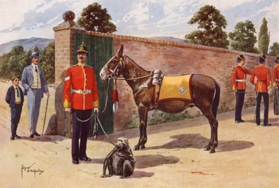 Il mulo e la scimmia domestici del Reggimento Middlesex da after Edgar Alfred Holloway