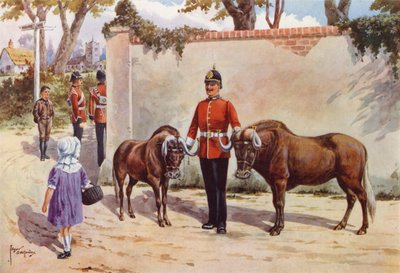 Gnu (o gnu dalla coda bianca), animali domestici dei South Wales Borderers da after Edgar Alfred Holloway
