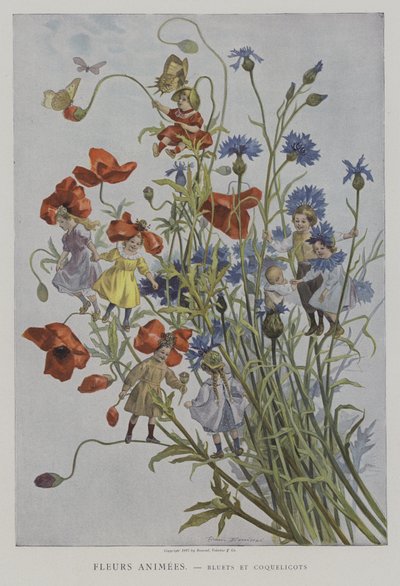 Fiori animati: fiordalisi e papaveri da after Firmin Bouisset