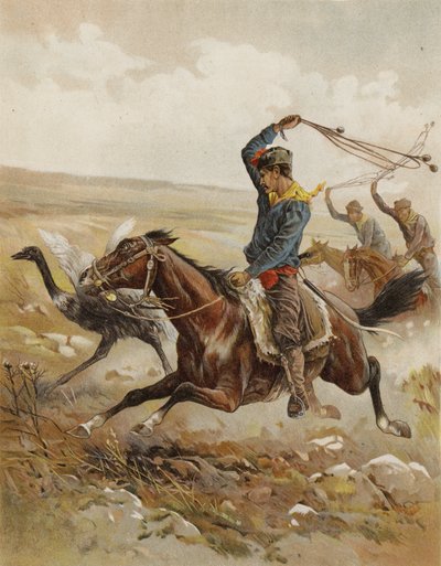 Caccia allo struzzo, Sud America da after Frank Feller