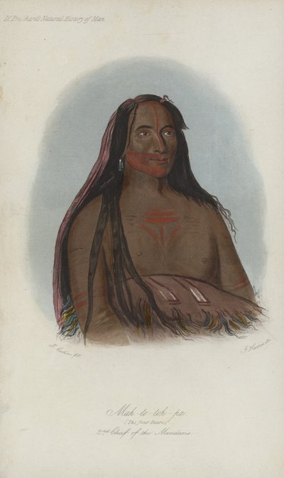 Mah-to-toh-pa, I quattro orsi, secondo capo dei Mandan da after George Catlin
