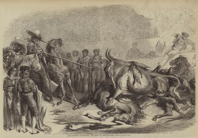 Corrida a Bayonne, il colpo del picador da Gustave after Dore