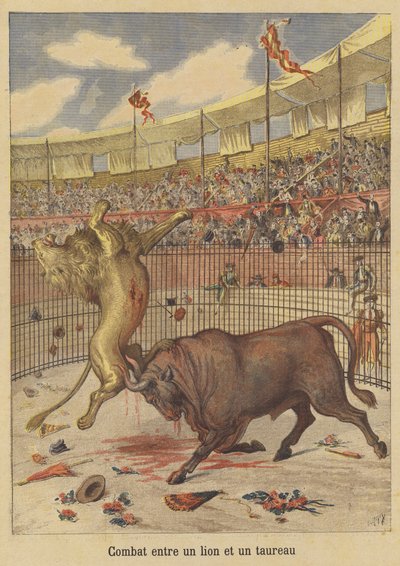 Combattimento tra un leone e un toro da after Henri Meyer