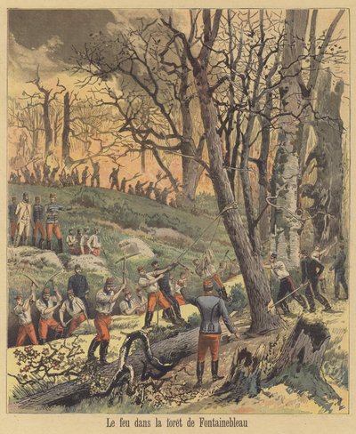 Incendio nella Foresta di Fontainebleau da after Henri Meyer