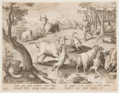 Tori e capre attaccati da volpi da after Jan van der Straet, called Stradanus
