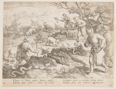 Caccia ai serpenti da after Jan van der Straet, called Stradanus