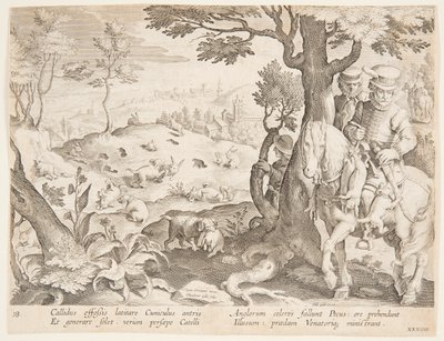 Caccia al coniglio da after Jan van der Straet, called Stradanus