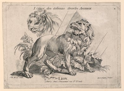 Studi di leoni, tavola 4 da "Cahier des Desseins Diverses Animeaux" da after Jean Baptiste Huet