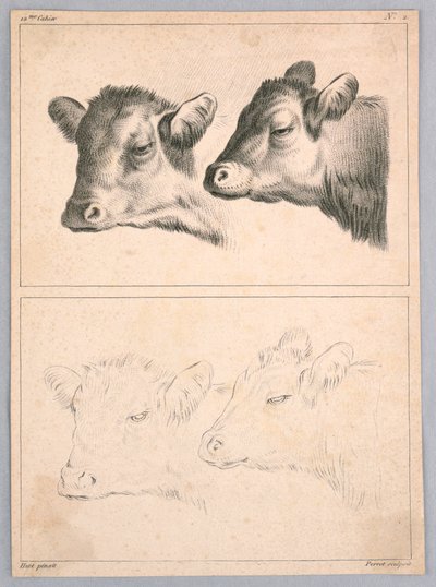 Due Teste di Mucca, Tavola n. 2 dal 12me Cahier d