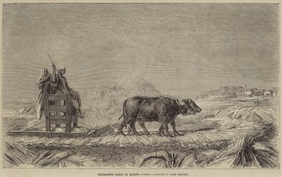 Pestatura del Grano in Egitto da after Jean Leon Gerome