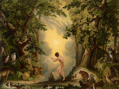 La creazione di Adamo da Johann Elias Ridinger or Riedinger