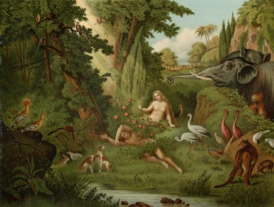 La creazione di Eva da Johann Elias Ridinger or Riedinger