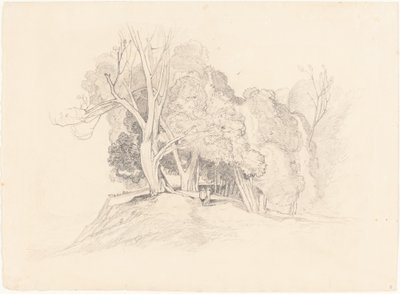 Paesaggio con Alberi da after John Sell Cotman British 19th Century