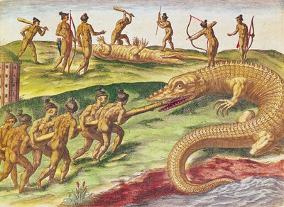 Caccia ai coccodrilli, da 