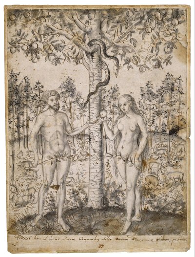 La caduta dell