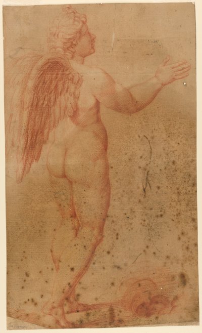 Cupido da Amore che discute con Zeus, dopo Raffaello da after Raphael