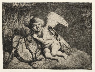 Cupido a riposo da after Rembrandt van Rijn