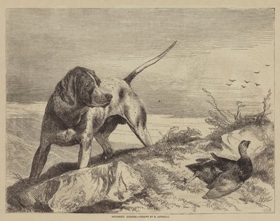 Galloferito da after Richard Ansdell