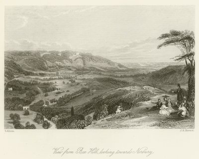 Vista da Box Hill, guardando verso Norbury da after Thomas Allom