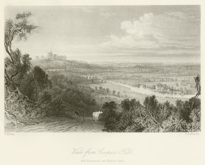 Vista da Coopers Hill, con Runnemede e il Castello di Windsor da after Thomas Allom