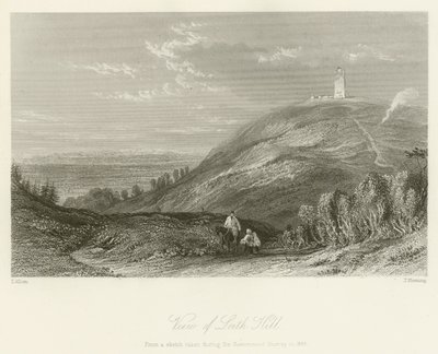 Vista di Leith Hill da after Thomas Allom