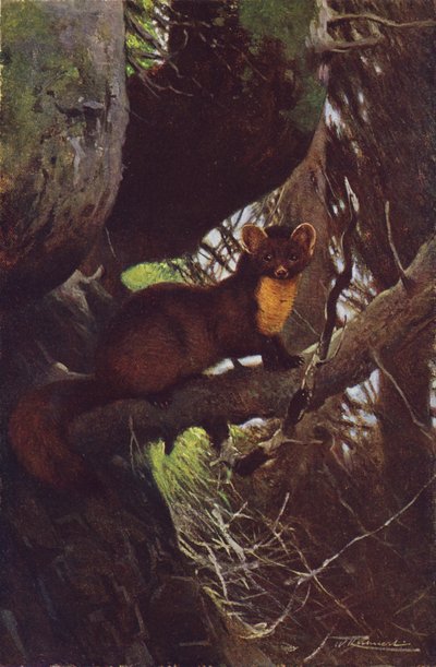 Faina da after Wilhelm Kuhnert