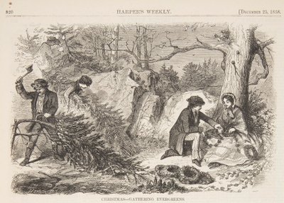 Natale – Raccolta di sempreverdi da after Winslow Homer