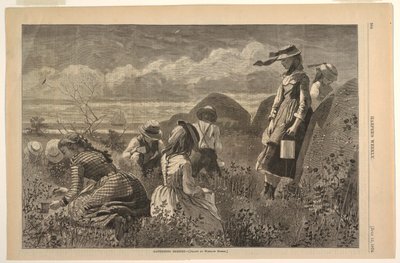 Raccolta di bacche da after Winslow Homer