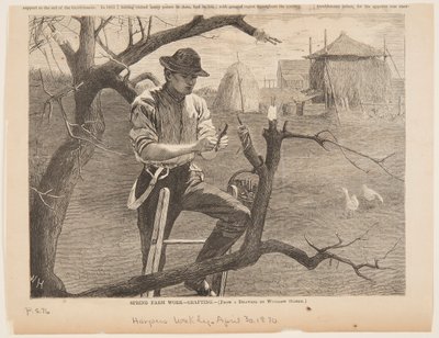 Lavoro primaverile in fattoria – Innesto da after Winslow Homer