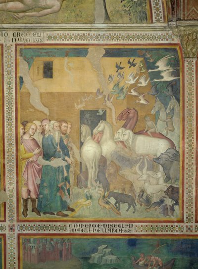 Noè guida gli animali nell