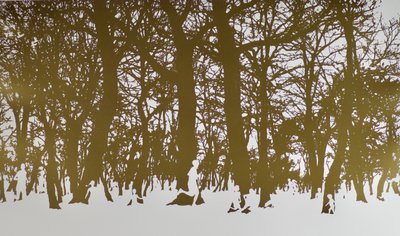 Alberi della vita da angus hampel