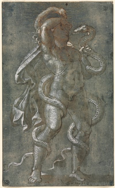 Uomo avvolto da due serpenti da attributed to Giovanni Antonio da Pordenone