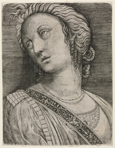 Busto di una donna da attributed to Jacopo de