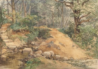 Scena boschiva con un sentiero attraverso un ruscello da attributed to John Middleton