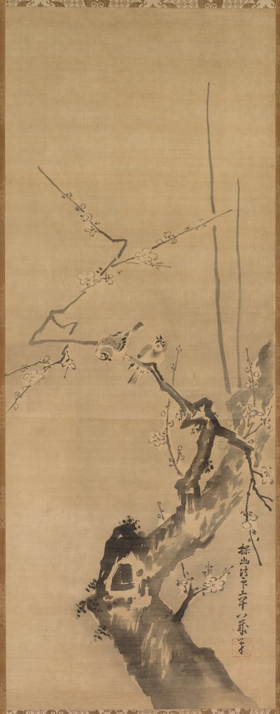 Passeri su prugno in fiore da attributed to Kano Tan’yū