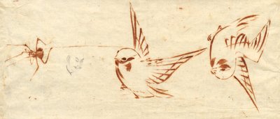 Pagina di Schizzi con Uccelli e Ragno da attributed to Katsushika Hokusai