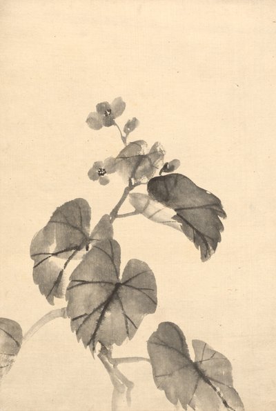 Ramo di begonia in fiore da attributed to Kono Bairei