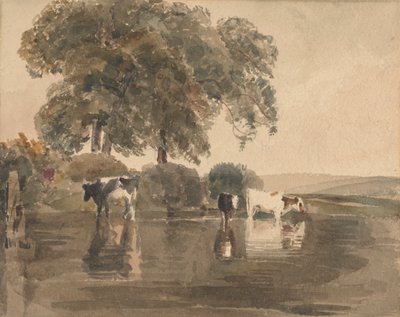 Mucche in una pozza da attributed to Peter DeWint