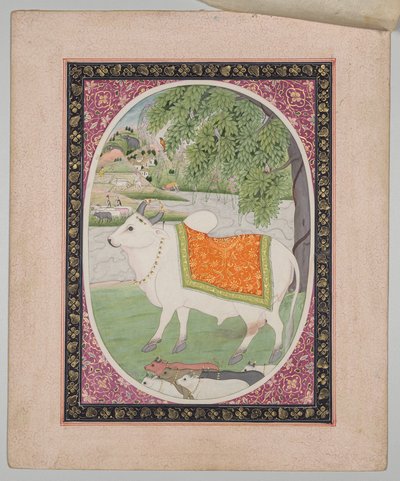 Toro, da una Serie di Astrologia Mandi da attributed to Sanju