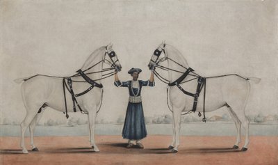 Un groom che tiene due cavalli da carrozza, ca. 1845 da attributed to Shaikh Muhammad Amir of
