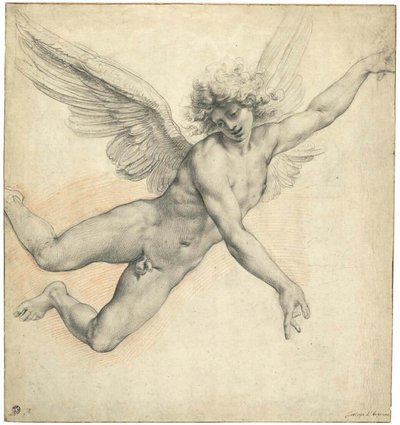 Un angelo in volo da called Cavaliere d