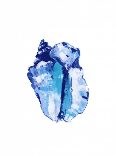 Conchiglia blu astratta da cartissi
