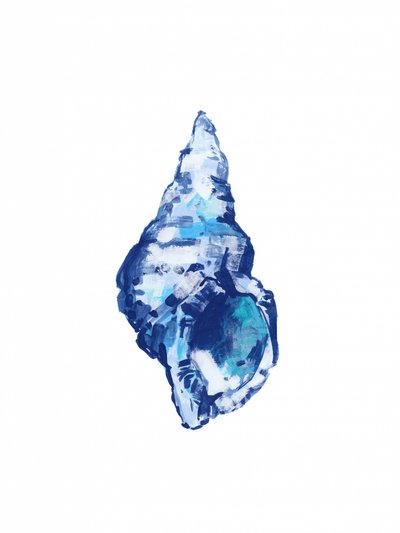 Conchiglia blu astratta da cartissi