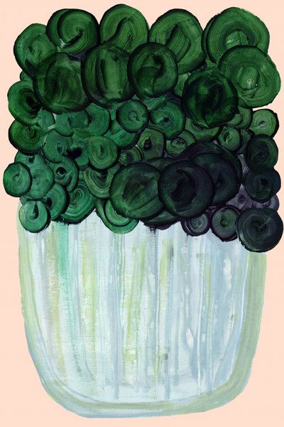 Pianta da appartamento verde (immagine astratta) da cartissi