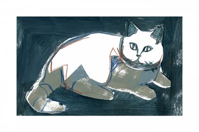 Gatto bianco artistico da cartissi