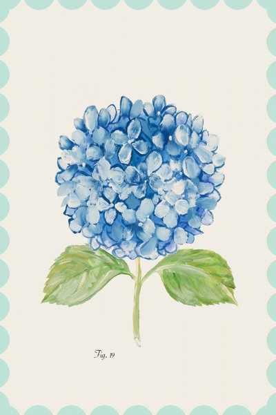 Illustrazione di un