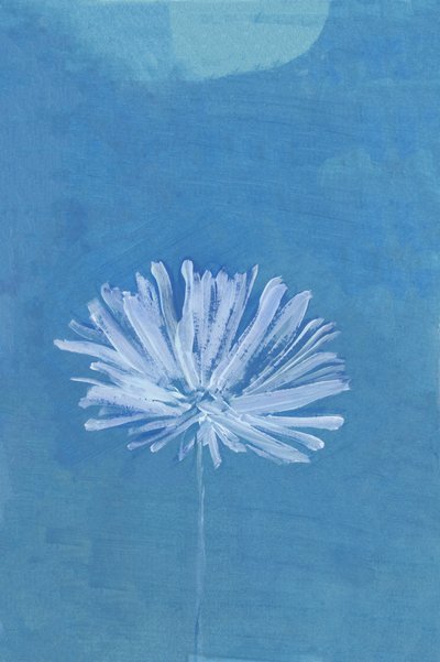 Fiore della Luna Blu da cartissi