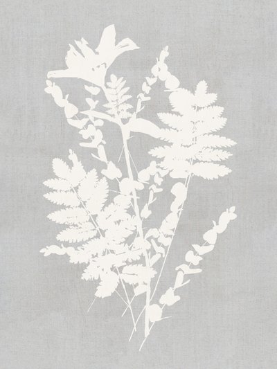 Studio di silhouette botaniche da cartissi